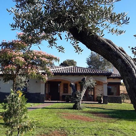 Hotel Rural - La Osa Mayor - 4 Estrellas Villasrubias Luaran gambar